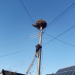ul. Raciborska, Trachy